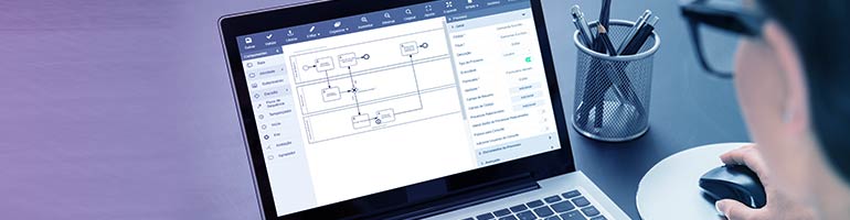 BPM BPMN BPMS